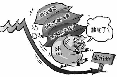 肉價為啥走不出暴漲暴跌怪圈？