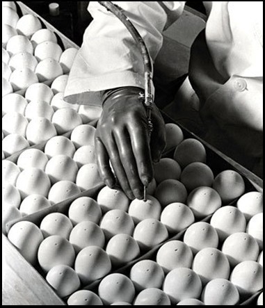 圖說流感的千年歷程