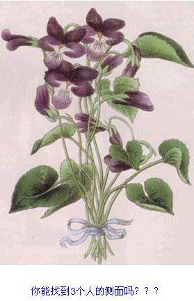 瘋狂的圖片！ 測(cè)測(cè)你的心理和眼力