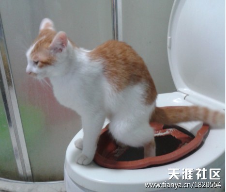 讓你笑不停的最新“囧”圖