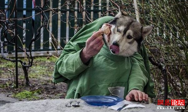 讓你笑不停的最新“囧”圖