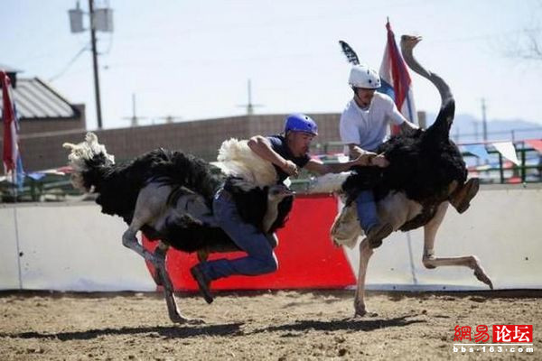 讓你笑不停的最新“囧”圖