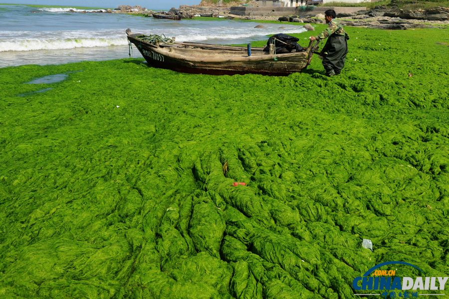 中國日報一周圖片精選：世界獻血者日