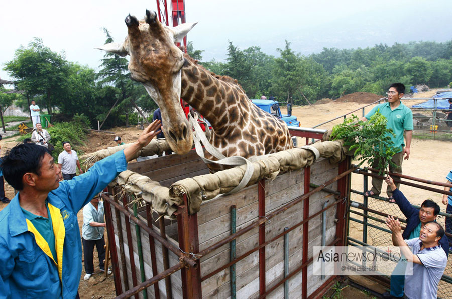 中國日報一周圖片精選（6月22日—28日）：韓國首位女總統訪華