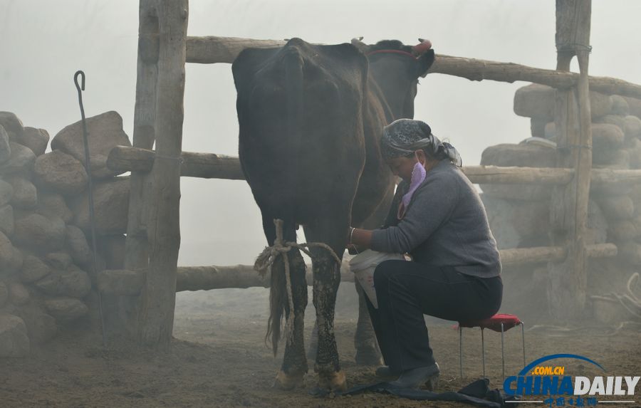 新疆巴里坤：草原牧羊人家盡顯游牧民俗