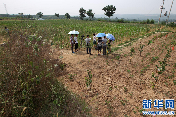 洛陽孟津疑似李煜墓引關注 專家稱證據不足無法確認