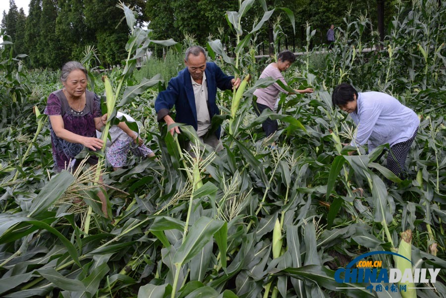 中國日報聚焦全國各地頻現暴雨