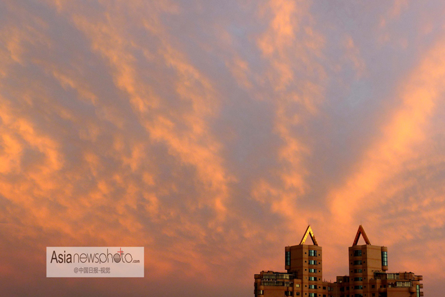 中國日報一周圖片精選（6月29日—7月5日）：高溫襲京