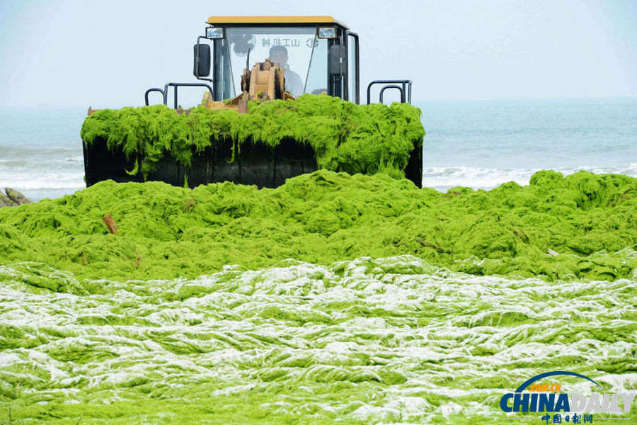 《中國日報(bào)》一周圖片精選：7月13日—7月19日