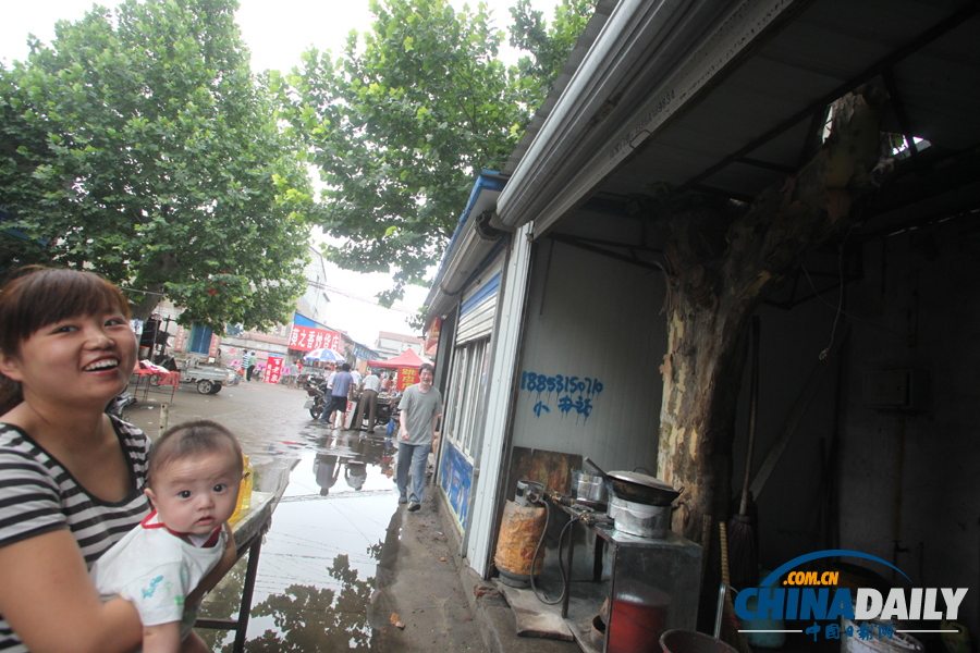 山東濟南：屋里“長”棵樹