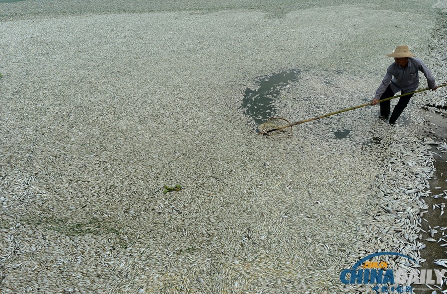 《中國日報》一周圖片精選：8月31日-9月6日