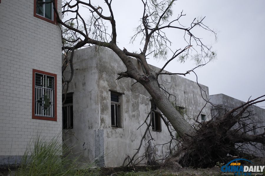 廣東陸豐：臺風(fēng)“天兔”來襲 受災(zāi)嚴(yán)重