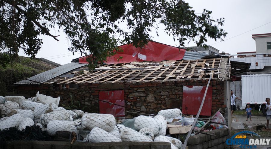 廣東陸豐：臺風“天兔”來襲 受災嚴重