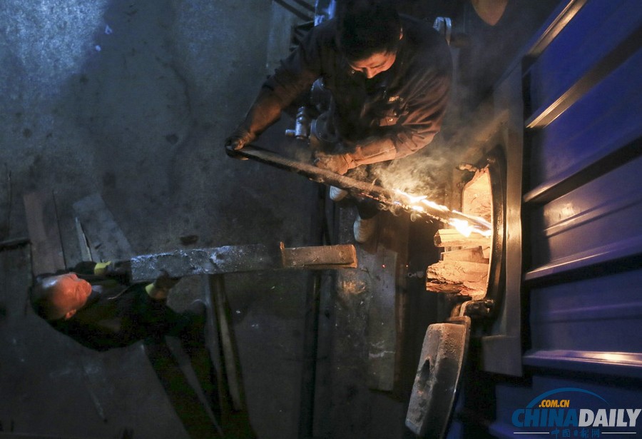 中國日報一周圖片精選：11月2日—8日