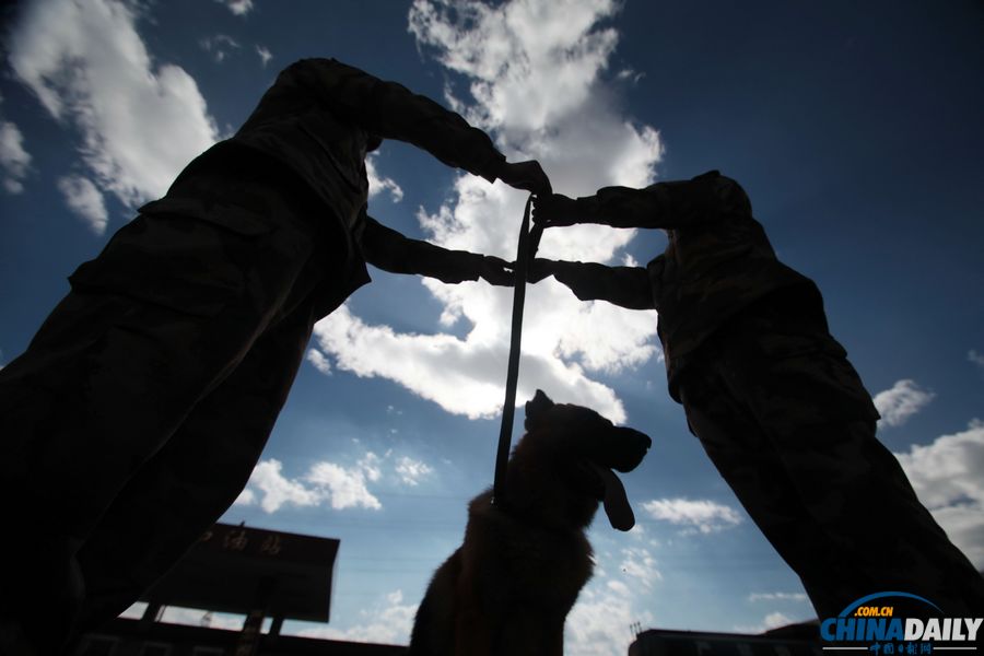 “戰友”的特殊告別：人犬分別的感人瞬間