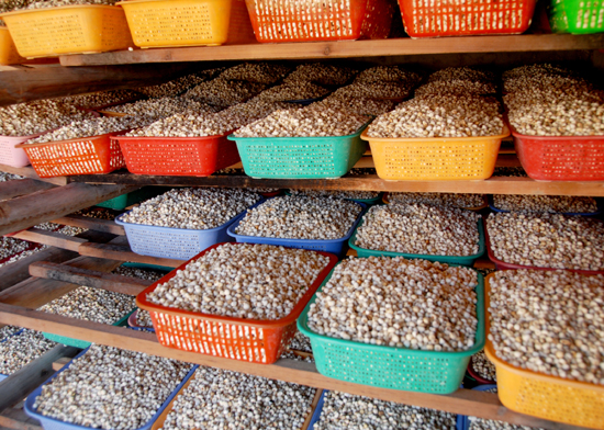 甘肅西和乞巧文化助推產(chǎn)業(yè)轉(zhuǎn)型提振縣域經(jīng)濟(jì)