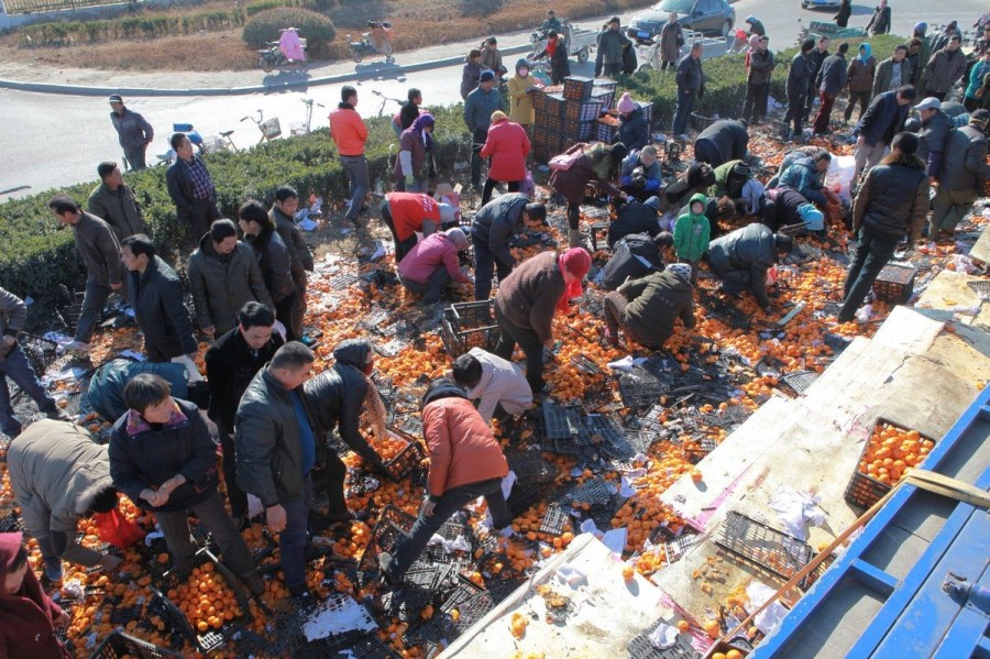 河北唐山貨車側翻35噸鮮桔遭哄搶