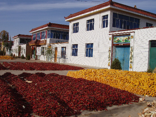 甘肅金昌金川區大力推進美麗鄉村建設