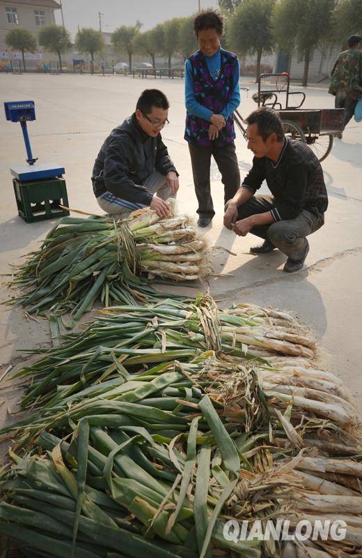 趙寧：大學生村官的老師夢