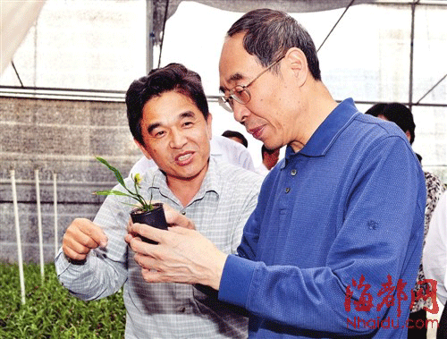 尤權昨在三明清流調研 與臺灣農民拉家常