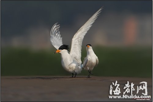 福建居民赴金馬澎個(gè)人游明日啟動(dòng)(組圖)