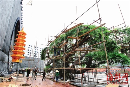 央視中秋晚會晚會布置正在進(jìn)行 展現(xiàn)濃濃福州味