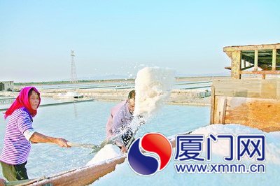 廈門大嶝鹽場昨關(guān)閉 曾是廈門唯一定點(diǎn)食鹽鹽場