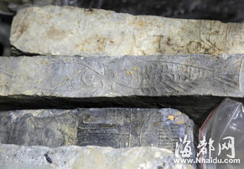 國家文物局專家關(guān)注屏山站發(fā)掘 實(shí)地踏勘