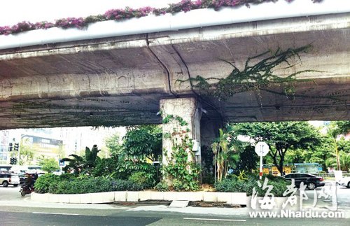 福州二環路工業路 高架橋橋墩旁路面下沉開裂