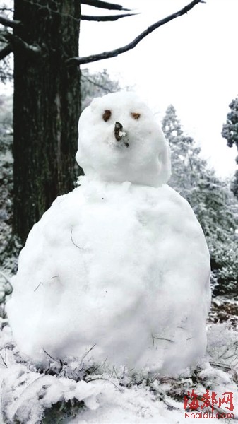 福建今冬初雪飄落武夷山光澤等地 德化九仙山昨迎今冬首場霧凇