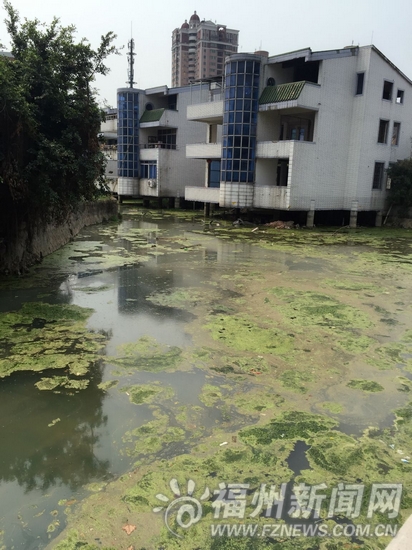 福州多條內(nèi)河現(xiàn)污水直排 截污面臨治理難管理難
