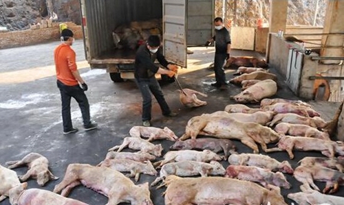 福建一周反腐動態：南安市委書記黃南康被查 前一任駱國清已落馬