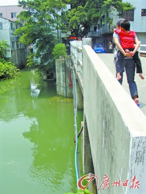 八旬夫妻拉手赴死演真實“梁祝” 同穿漂亮新衣