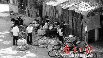 “雞霸”團伙覆滅 雞肉價格平均每斤下降1-2元