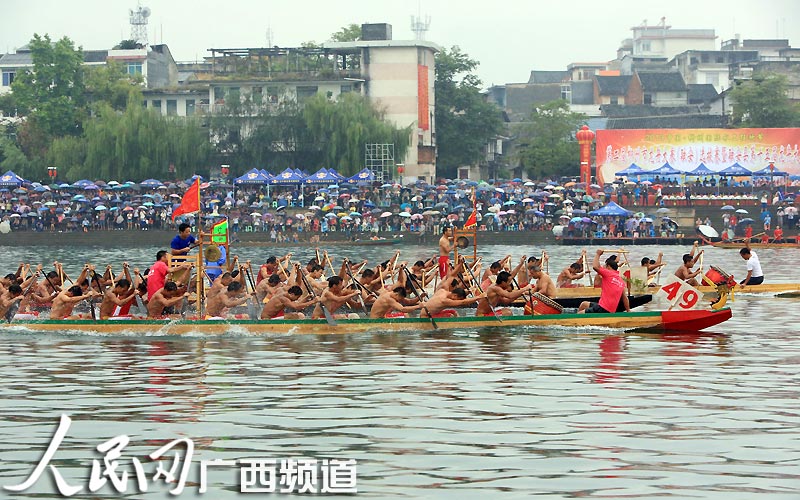 高清組圖：廣西融安“群龍競渡鬧融江”