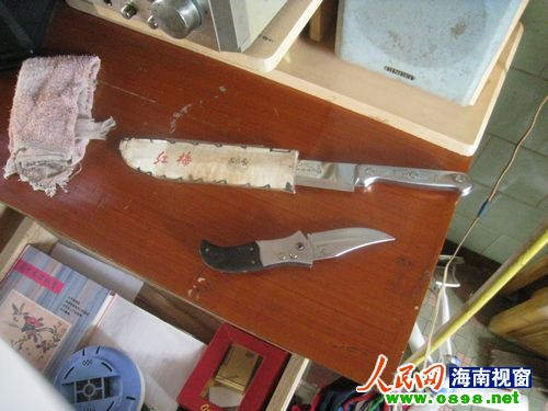 東北一名持槍殺人嫌犯潛逃19年后在瓊海落網