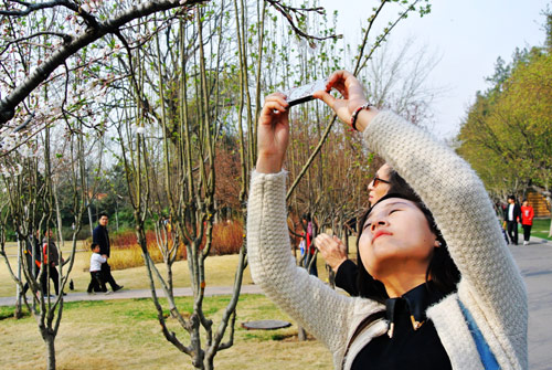 鄭州：陽(yáng)春三月花爛漫