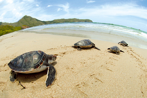 不一樣的亞洲國(guó)際都會(huì)——香港之優(yōu)質(zhì)生活篇