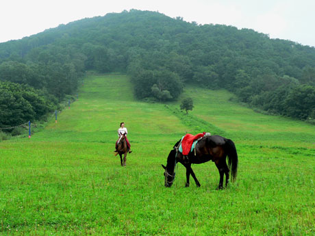 休閑度假好去處——玉泉狩獵場(chǎng)