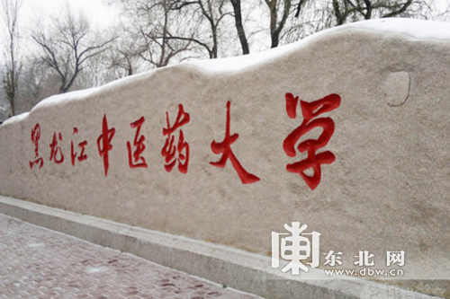 發展對俄中醫藥養生保健旅游 助力龍江