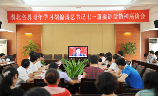 團(tuán)湖北省委各界青年學(xué)習(xí)胡錦濤總書記七一講話精神