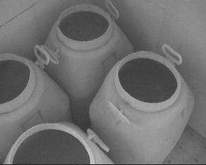 央視曝光南京鹽水鴨市場亂象:生產車間蒼蠅亂飛(圖)