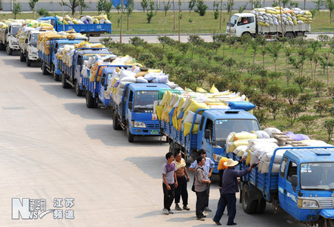 連云港夏糧收購(gòu)全面展開