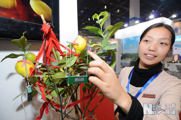 第三屆中國國際物聯網博覽會在無錫開幕