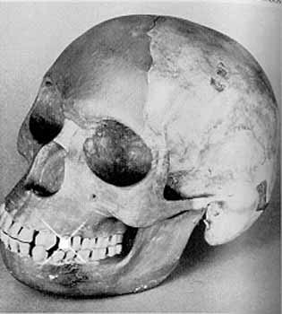 史上五個最著名科學騙局：遼寧古盜鳥上榜