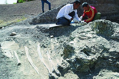 遼寧現立體保存最好恐龍化石(圖)