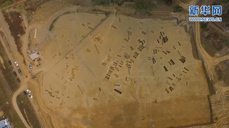 成都發現春秋戰國大型船棺墓群 如地下青銅器寶庫