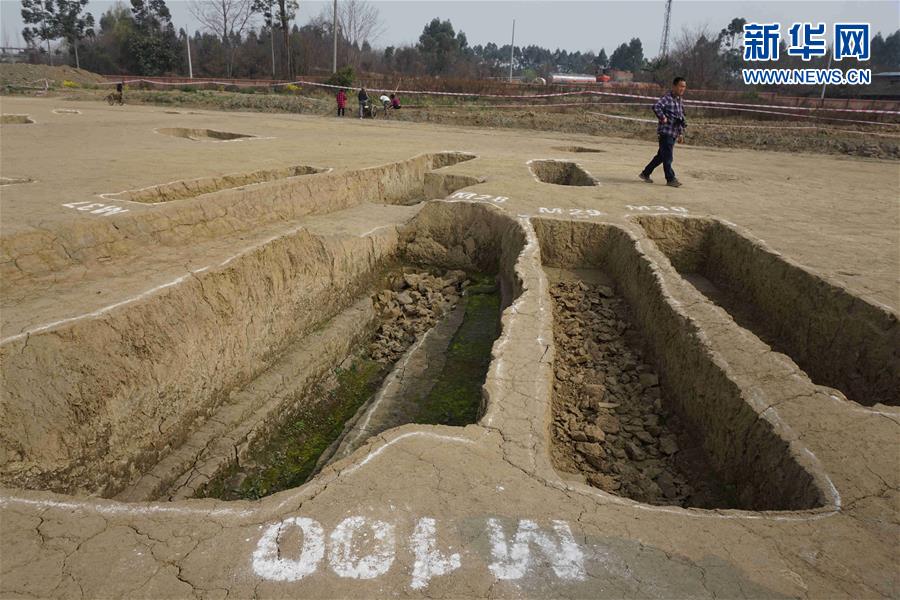 成都發現春秋戰國大型船棺墓群 如地下青銅器寶庫