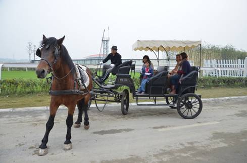 2013中國馬術節開幕在即 國際友人體驗馬術文化