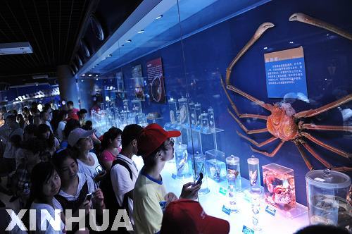 青島：火爆游“海底”